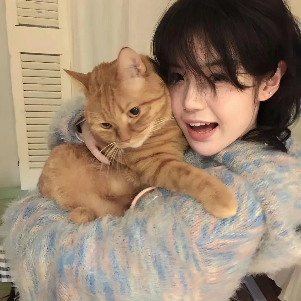 反诈·猎蜂者